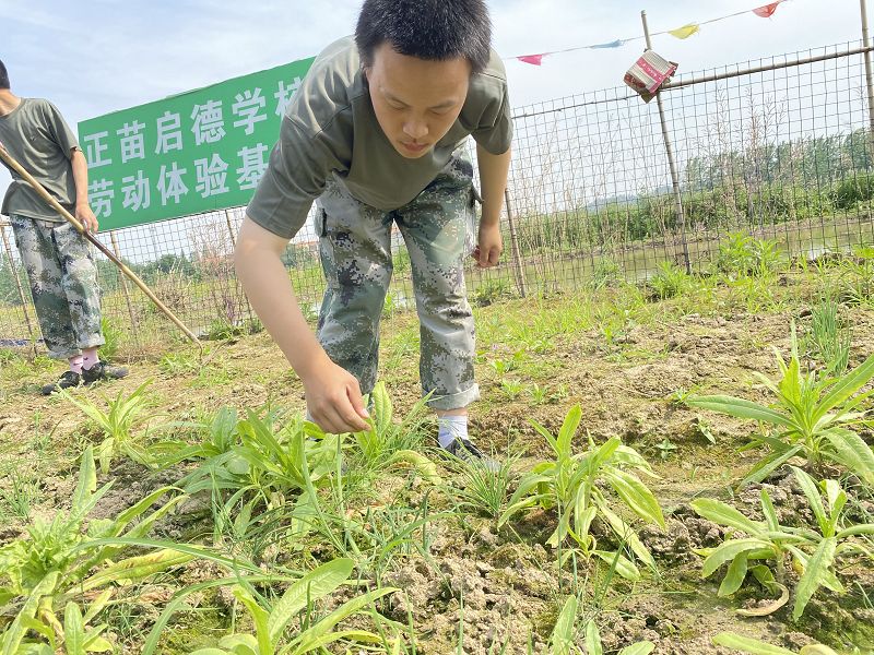 不當的家庭教育會導致青少年心理脆弱嗎？(圖1)