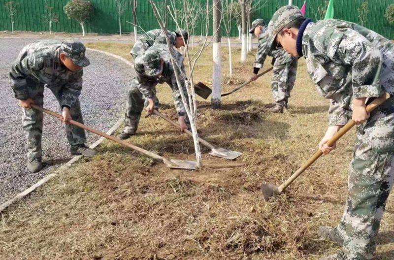 叛逆期的叛逆少年學校有什么優(yōu)點？如何引導叛逆期的少年(圖1)