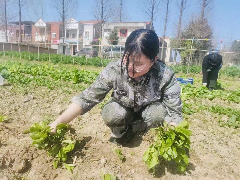 在勞動的過程中，體會勞動的價值與意義