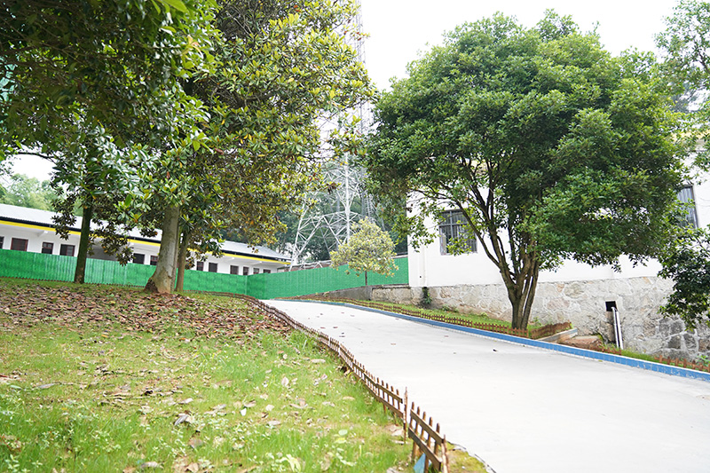 湖南校區(圖17)